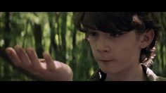 poster-28737-wind-bee-236x132