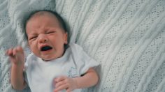 poster-28749-march-of-dimes-lullacry-236x132