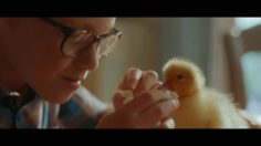 poster-28754-gaia-groupe-d-action-dans-l-interet-des-animaux-la-ou-s-arrete-l-amour-pour-les-animaux-le-notre-commence-236x132