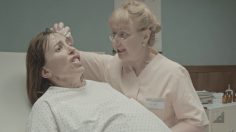 poster-28756-horsebox-black-stallion-236x132