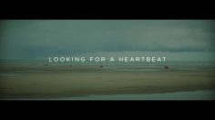 poster-28801-reborn-to-be-alive-looking-for-heartbeat-236x132