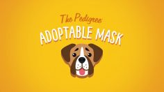 poster-28817-pedigree-adoptable-facebook-mask-236x132