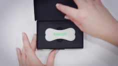 poster-28819-musti-biscuit-worlds-first-loyalty-program-for-dogs-236x132