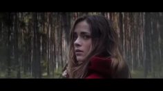 poster-28838-green-black-s-velvet-edition-dark-but-different-236x132