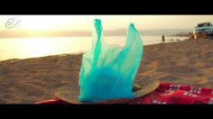 poster-28868-protection-environnement-love-on-the-red-sea-beach-236x132