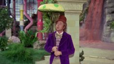 62527_preview-236x132