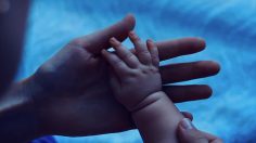 poster-28874-philips-mom-s-energy-236x132