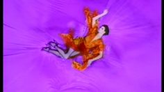 poster-28956-ysl-opium-homme-femme-l-oeil-femme-236x132