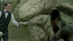 poster-28959-eko-kom-scandale-dans-un-restaurant-chic-236x132