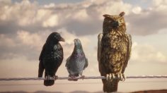 poster-28981-enbw-energie-baden-wurttemberg-sur-le-fil-electrique-236x132