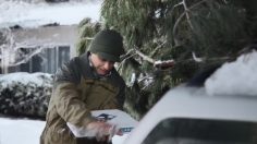 poster-29008-domino-s-pizza-timber-236x132