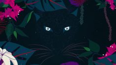 poster-29013-feliae-carres-de-soie-wild-at-heart-236x132