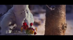 poster-29051-interflora-melting-hearts-236x132