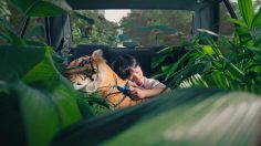 poster-29111-traveloka-wander-with-wonder-236x132