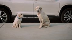 poster-29120-subaru-ascent-drop-off-236x132