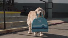 poster-29121-subaru-ascent-drive-away-236x132