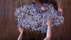 poster-29259-mainland-fromage-the-mainland-2000-piece-voucher-236x132