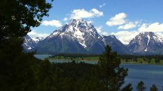 poster-29349-jackson-hole-travel-tourism-board-stay-wild-236x132