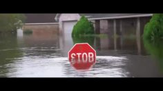 poster-29367-conservation-international-nature-signs-236x132