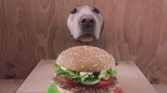 Burger-King-Culture-Week-236x132