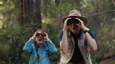 poster-29386-ihop-kings-hawaiian-french-toast-combos-breakfast-watchers-236x132