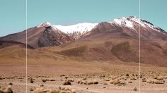 poster-29398-wwf-toolatergram-236x132