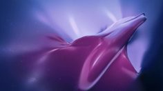 poster-29414-sea-shepherd-protection-des-oceans-the-plastic-ocean-236x132