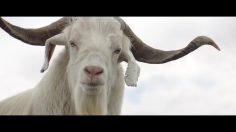 poster-29462-holden-colorado-not-to-be-outdone-236x132