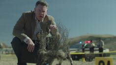 poster-29476-southwest-com-coming-in-hot-236x132