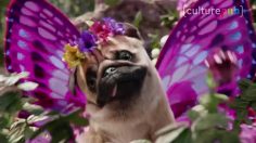 poster-29511-humour-thai-et-harcelement-scolaire-2018-05-03-236x132