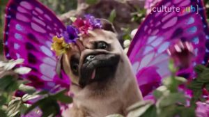 poster-29511-humour-thai-et-harcelement-scolaire-2018-05-03-300x168