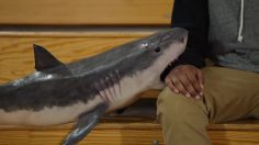 poster-29554-bring-change-to-mind-not-that-weird-236x132