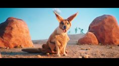 poster-29585-the-missouri-lottery-mo-lottery-australia-236x132