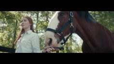 poster-29622-purina-april-dixie-236x132