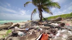 poster-29628-palau-legacy-project-palau-pledge-236x132