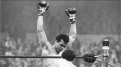 poster-29650-getty-images-endless-stories-236x132