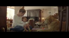 poster-29662-fondation-30-millions-damis-une-vie-de-chien-236x132