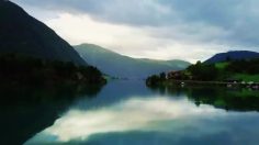 poster-29722-7-eleven-land-of-chlamydia-236x132