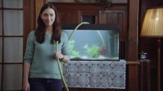 poster-29817-swiss-federal-office-of-public-health-aquarium-236x132