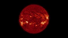 poster-29842-burger-king-sun-flame-grilled-whopper-236x132