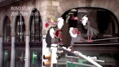 sumatran-orangutan-society-sos-concrete-jungle-culturepub-236x132