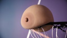 poster-29891-berlei-sports-sous-vetements-the-best-support-for-sport-236x132