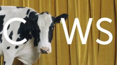 poster-29938-elvie-pump-pumping-unplugged-236x132