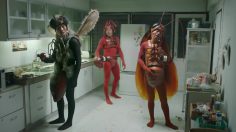 poster-29939-chaindrite-insects-236x132