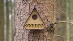 poster-29940-agent-green-protection-environnement-screaming-trees-236x132