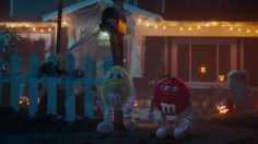 63383_preview-236x132