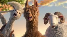 poster-29968-cole-haan-zerogrand-stitchlite-wool-shoes-wooly-booly-236x132