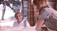 poster-29995-wizard-formidable-236x132