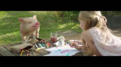 poster-30000-peta-veganstart-de-best-friend-236x132