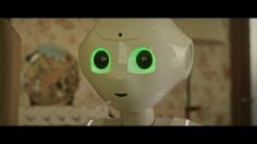 poster-30050-arroz-dacsa-pep-pepper-236x132